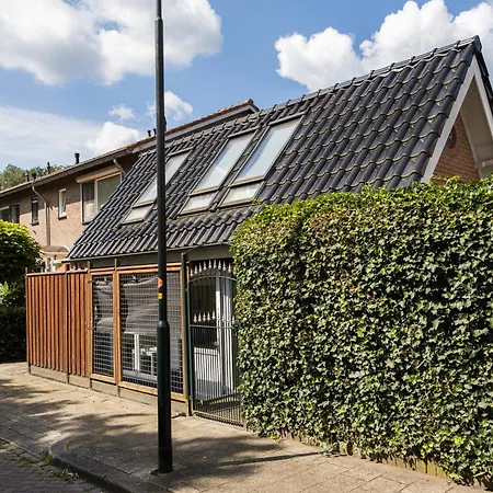 Luxe Wellness With Jacuzzi And Sauna *