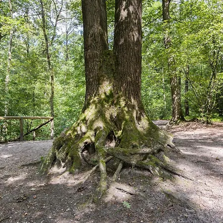 Luxe Wellness With Jacuzzi And Sauna