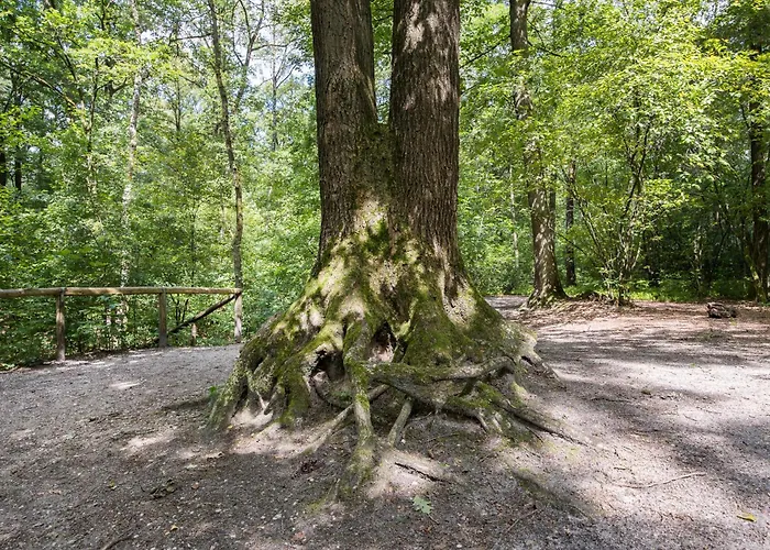 Luxe Wellness With Jacuzzi And Sauna