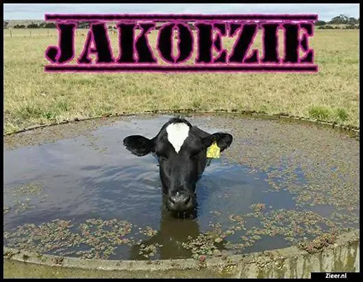 Luxe Wellness With Jacuzzi And Sauna Apeldoorn